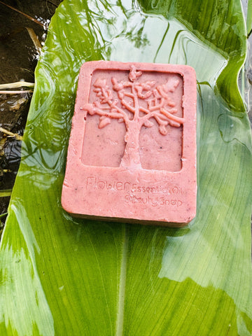 Manjistha Soap (100 gm)