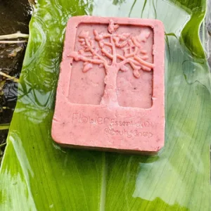 Manjistha Soap (100 gm)