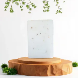 Coconut Soap (100gm)